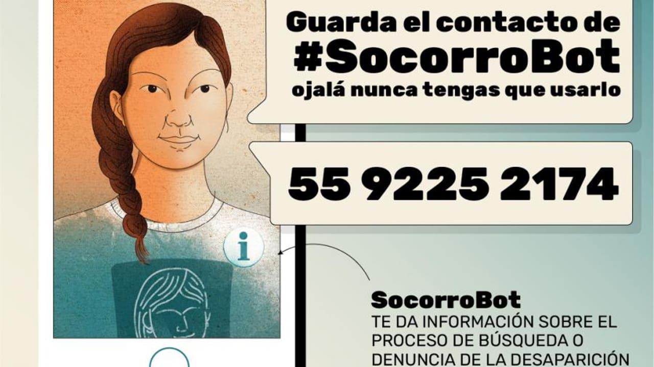 #SocorroBot: El chat en WhatsApp que te dice cómo actuar ante una desaparición